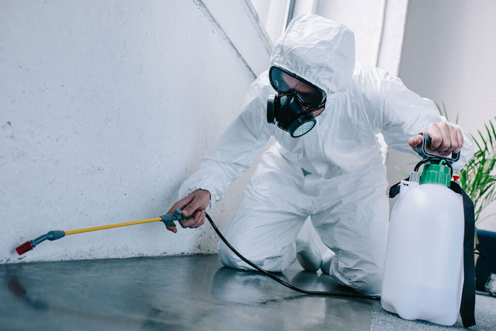 Professional Exterminators