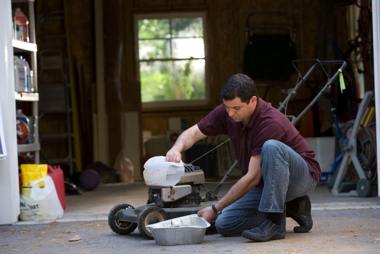 Wood Destroying Insect Inspection